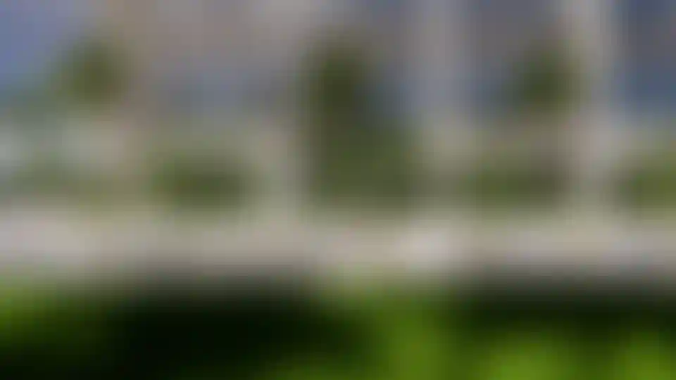 image for main block