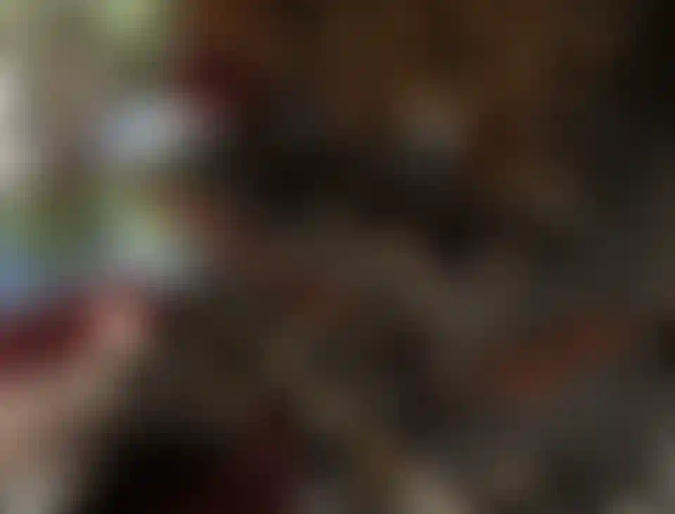 image for main block