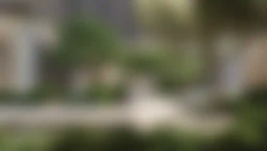 image for main block