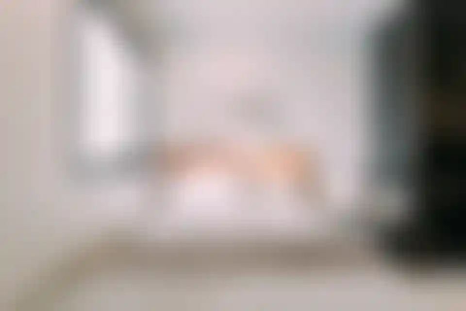 image for main block