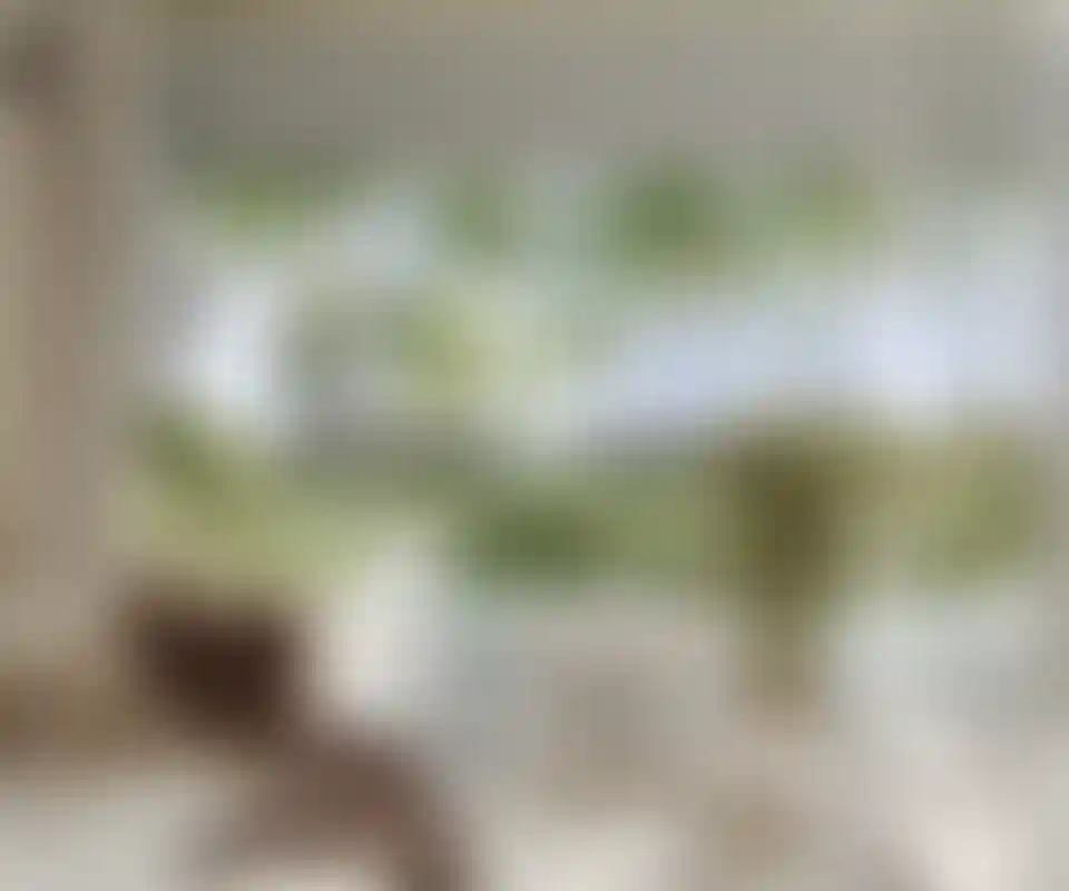 image for main block