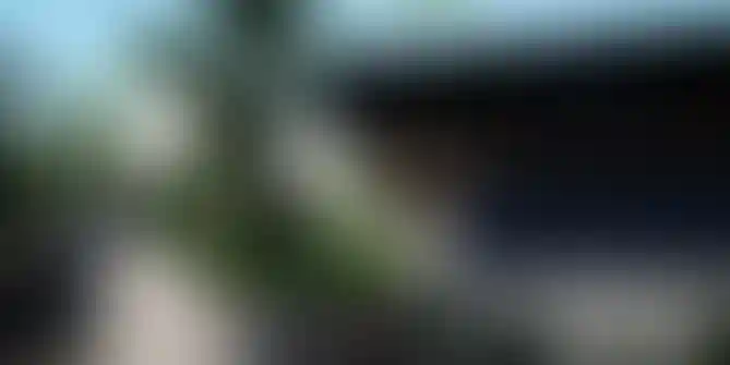 image for main block