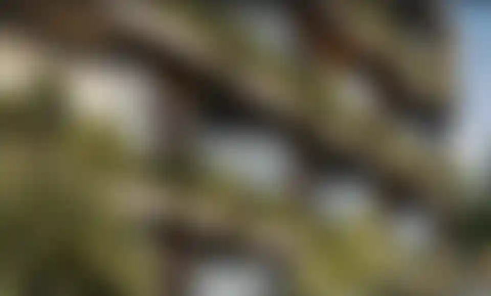 image for main block