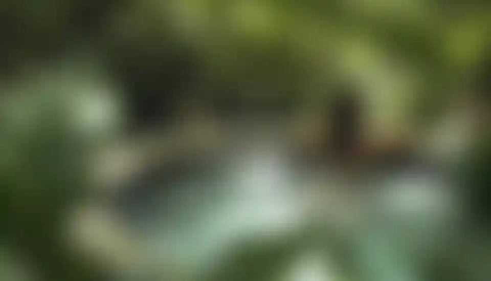 image for main block