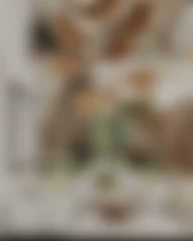 image for main block