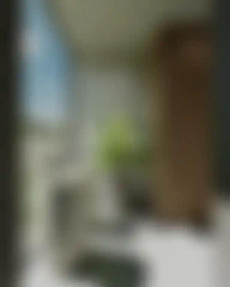 image for main block