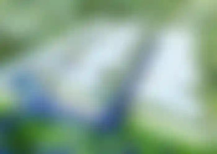 image for main block