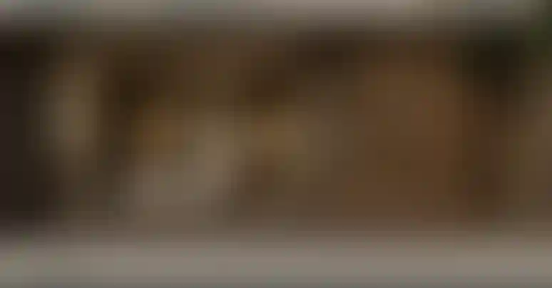 image for main block