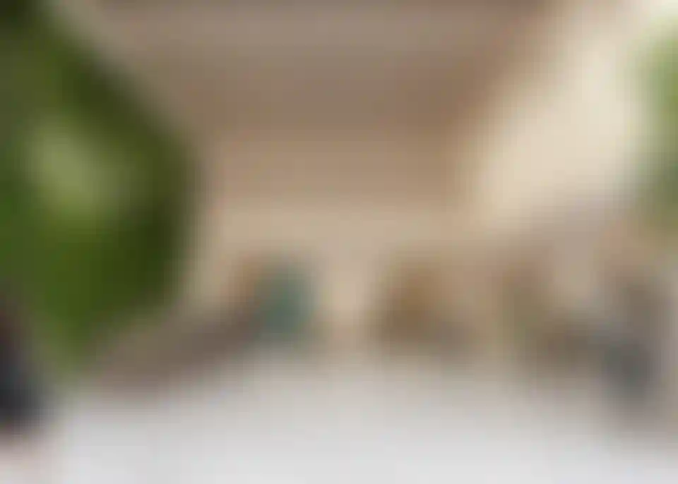 image for main block