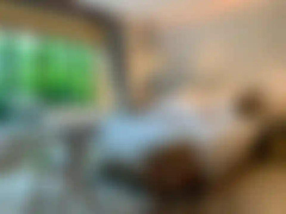 image for main block