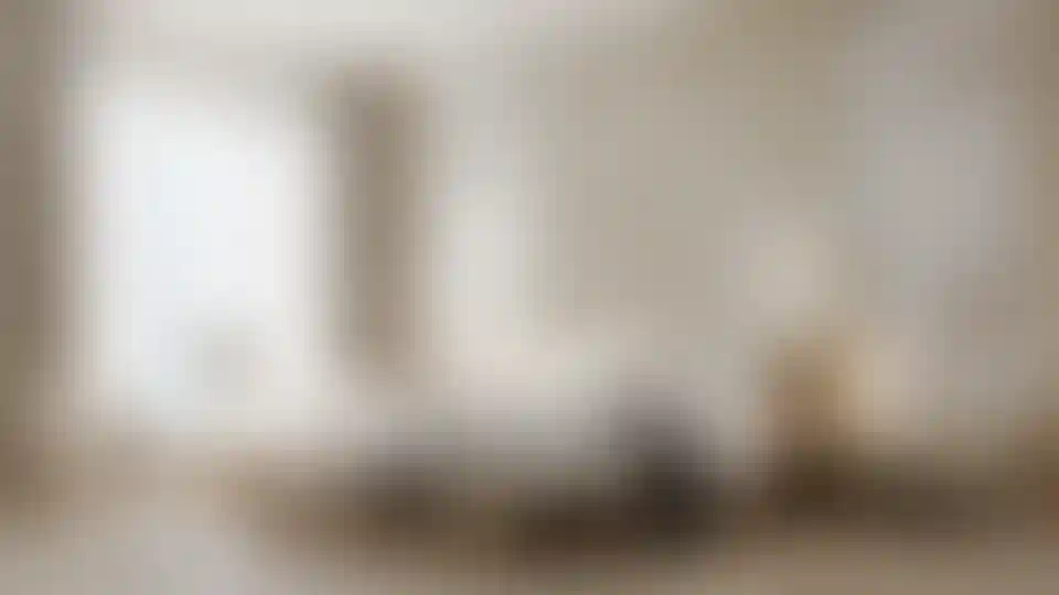 image for main block