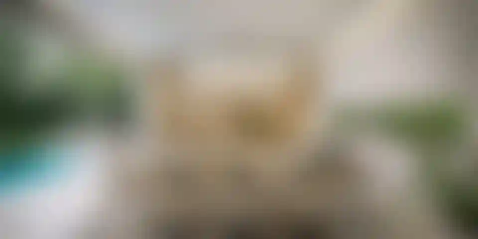 image for main block