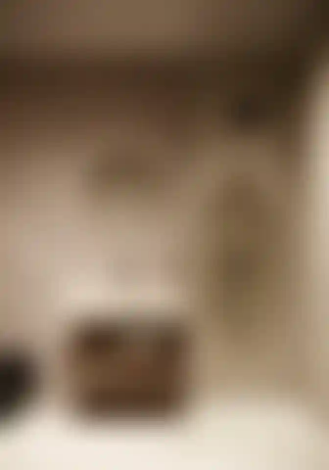 image for main block