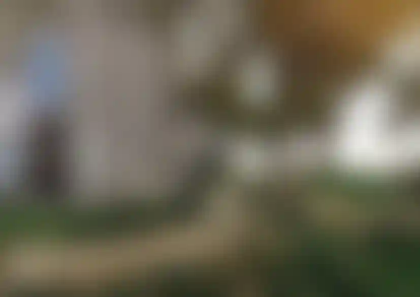 image for main block