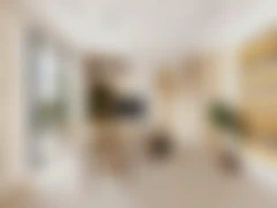 image for main block