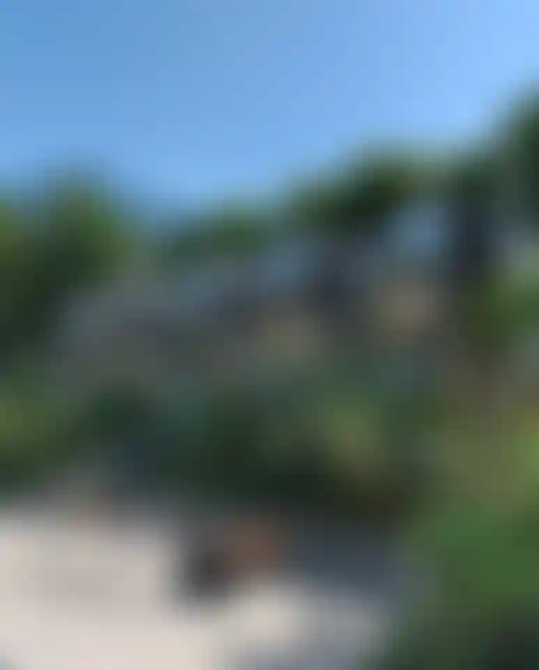 image for main block