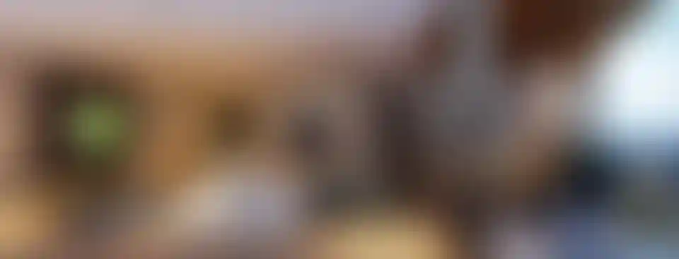 image for main block