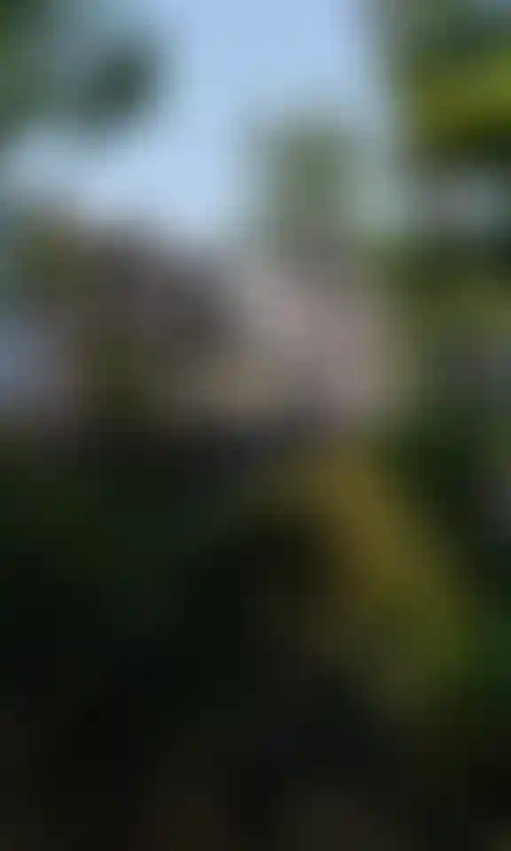 image for main block