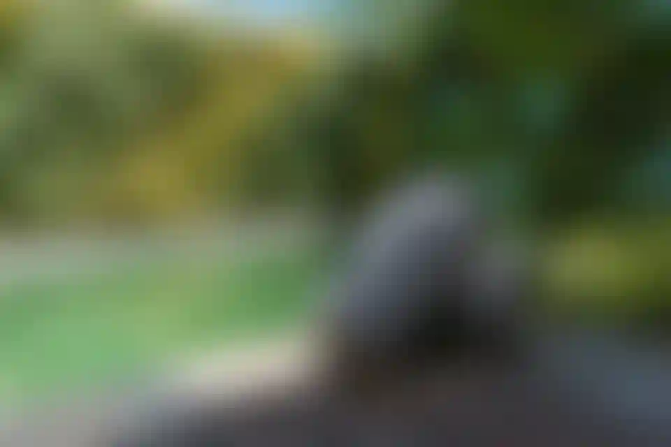 image for main block