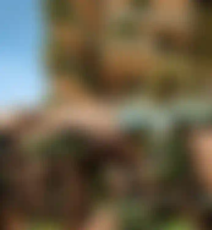 image for main block