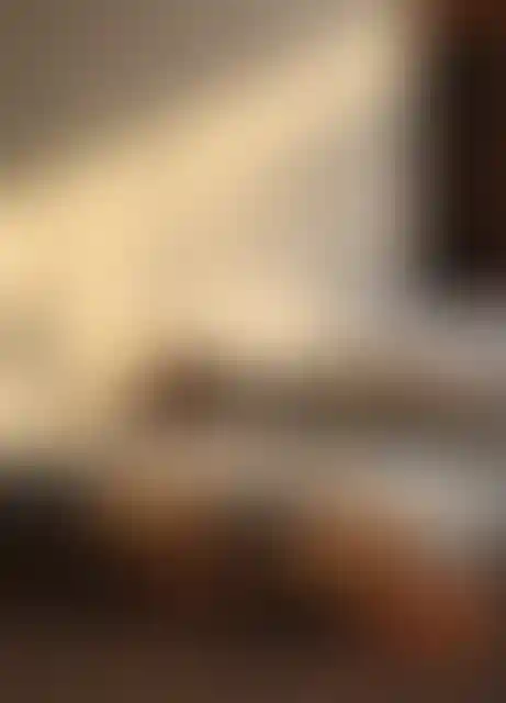 image for main block