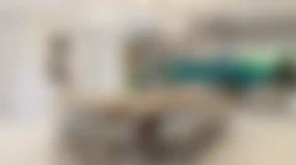 image for main block