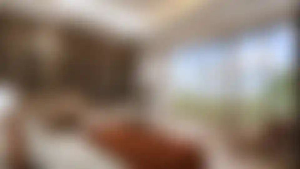 image for main block