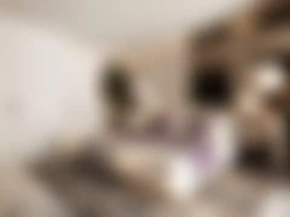 image for main block