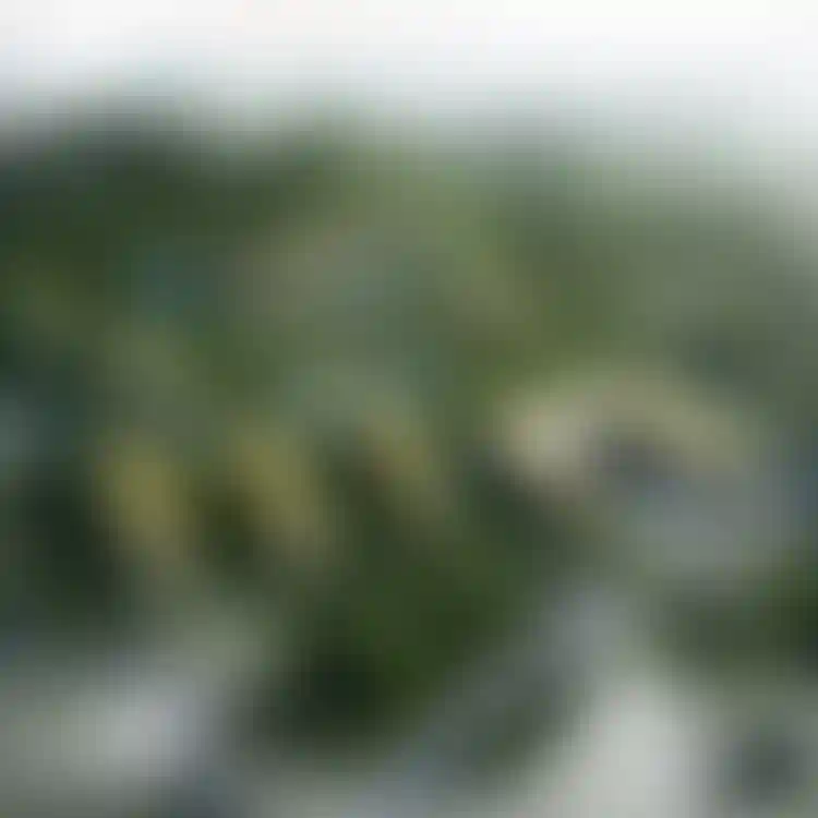 image for main block