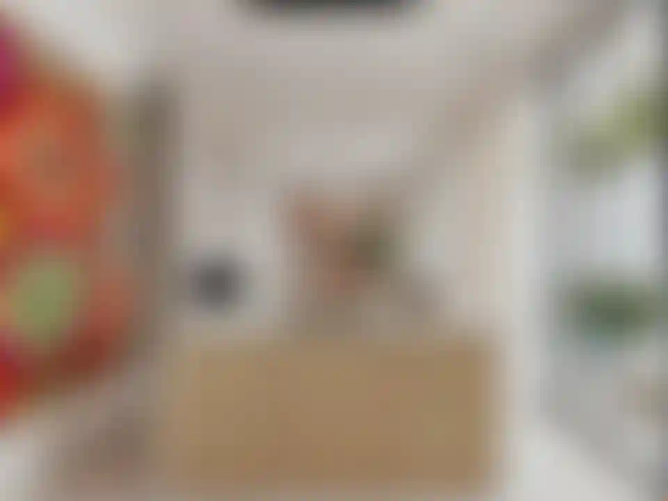 image for main block