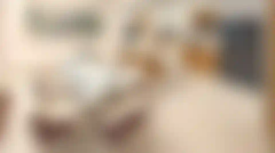 image for main block