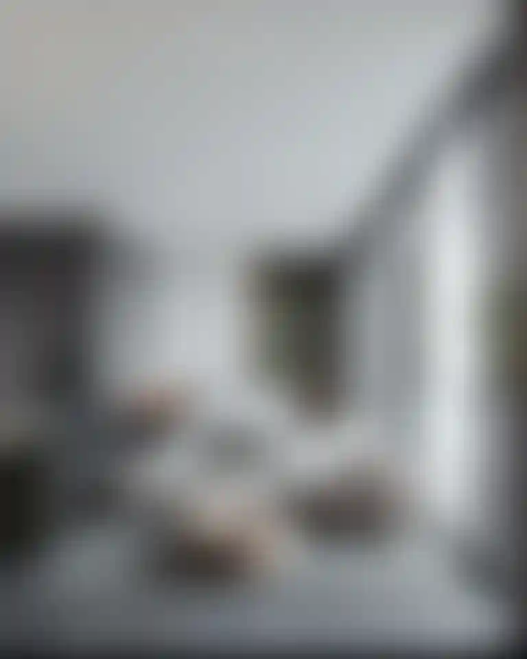 image for main block