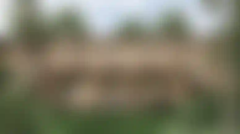 image for main block