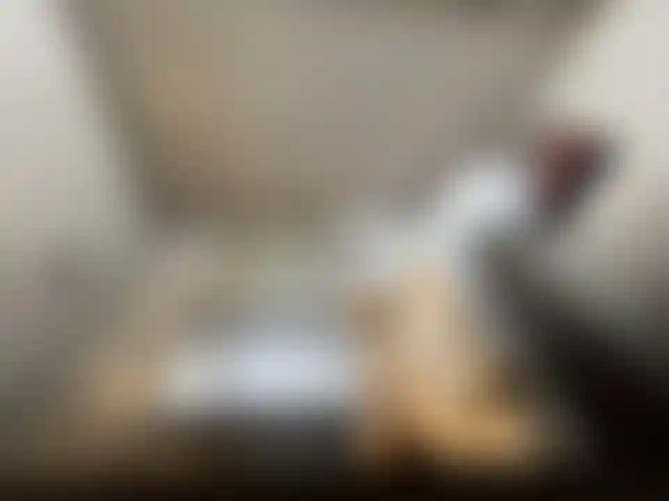 image for main block