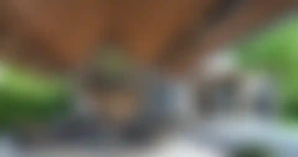 image for main block