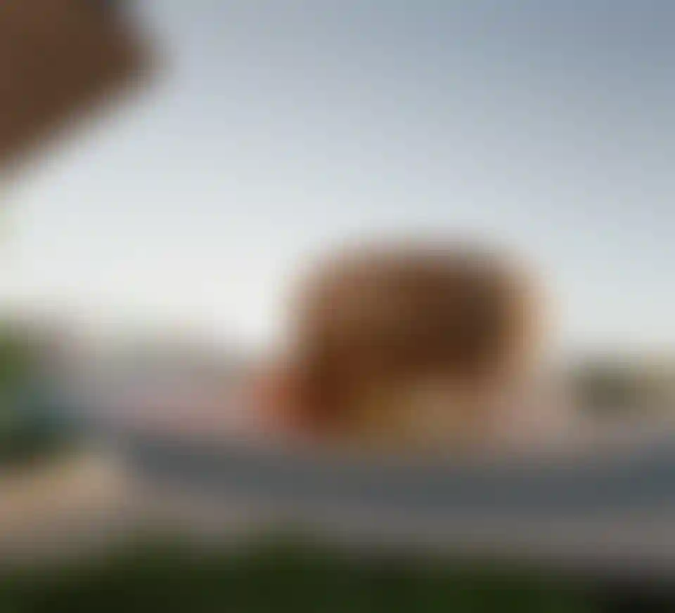 image for main block