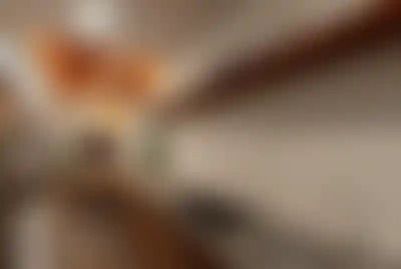 image for main block