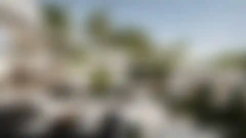 image for main block