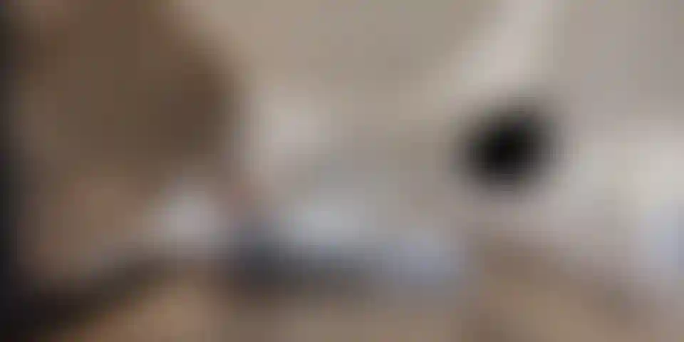 image for main block