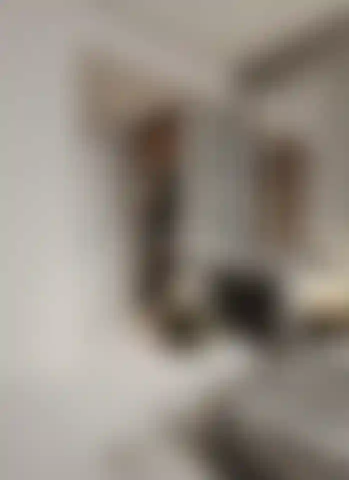 image for main block