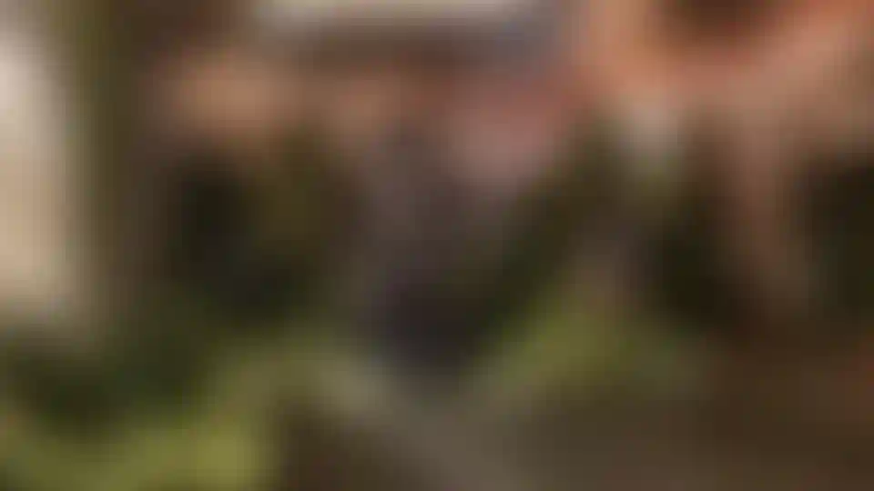 image for main block