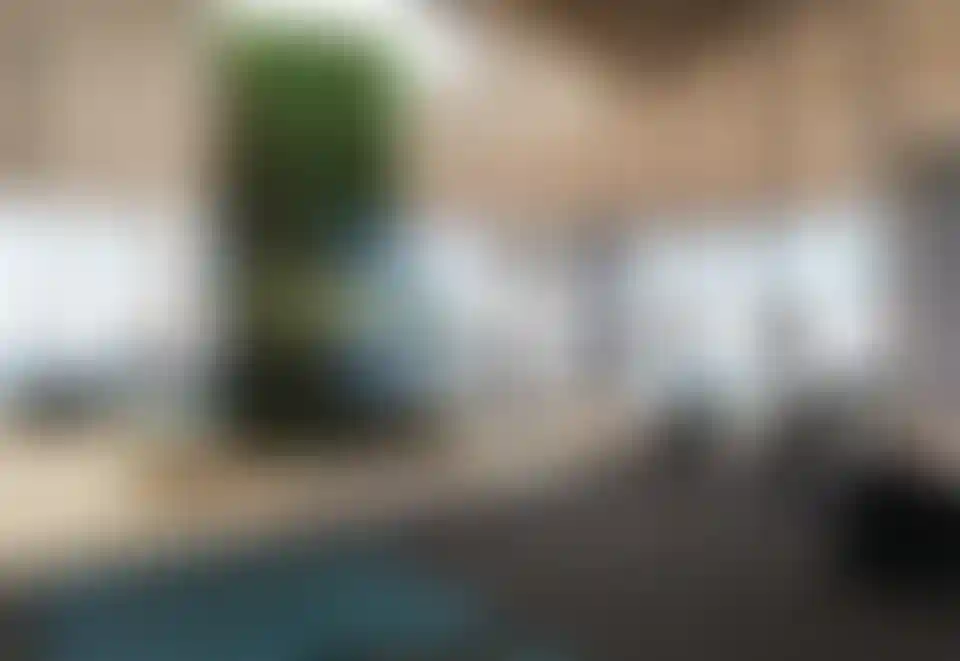 image for main block