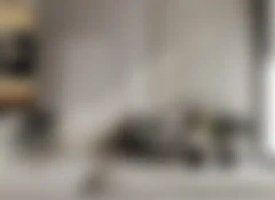 image for main block