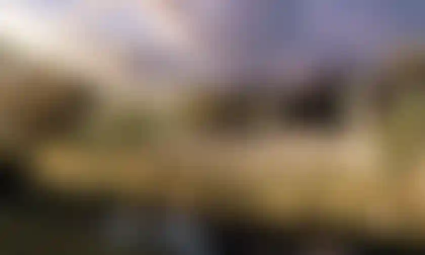 image for main block