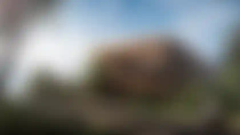 image for main block