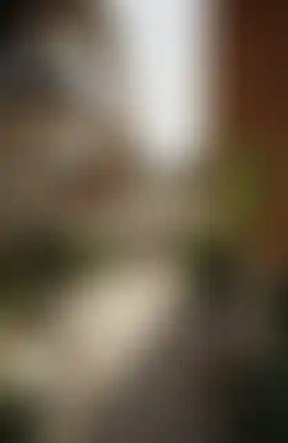 image for main block