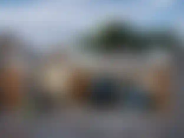 image for main block