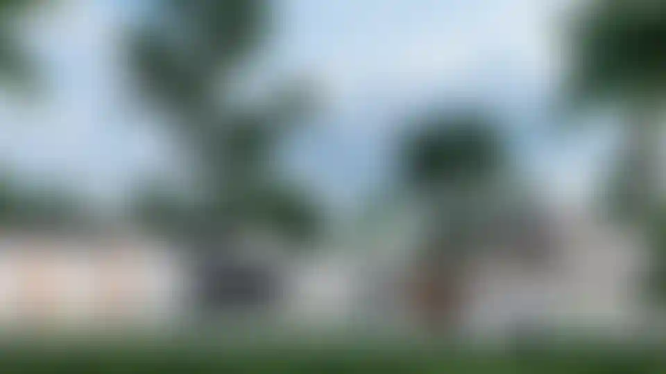 image for main block