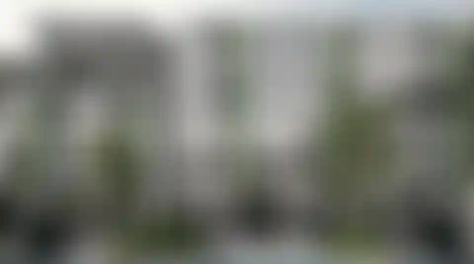 image for main block