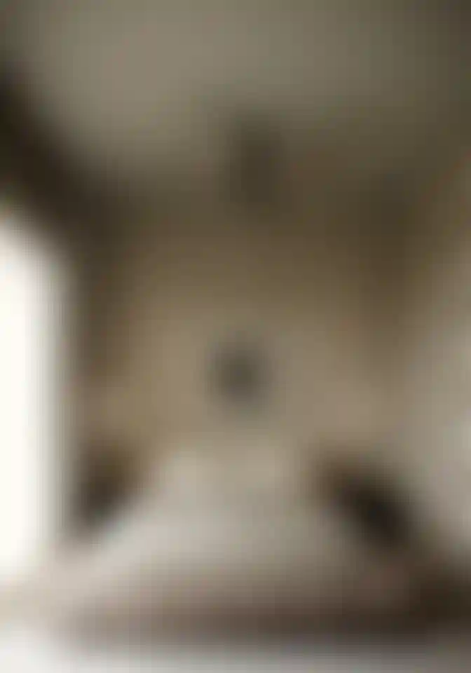 image for main block